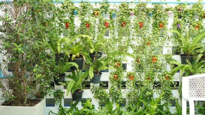 Vertical garden on white wood of lath wall. Garden natural style Interior of building with many small flower pot hanged on white lath wall full of green plants and artificial grass on the floor.