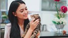 Deretan seleb ini ternyata seorang penyayang binatang&comma; terutama kucing&period; Mau tahu siapa saja&quest; Yuk&comma; intip&excl;