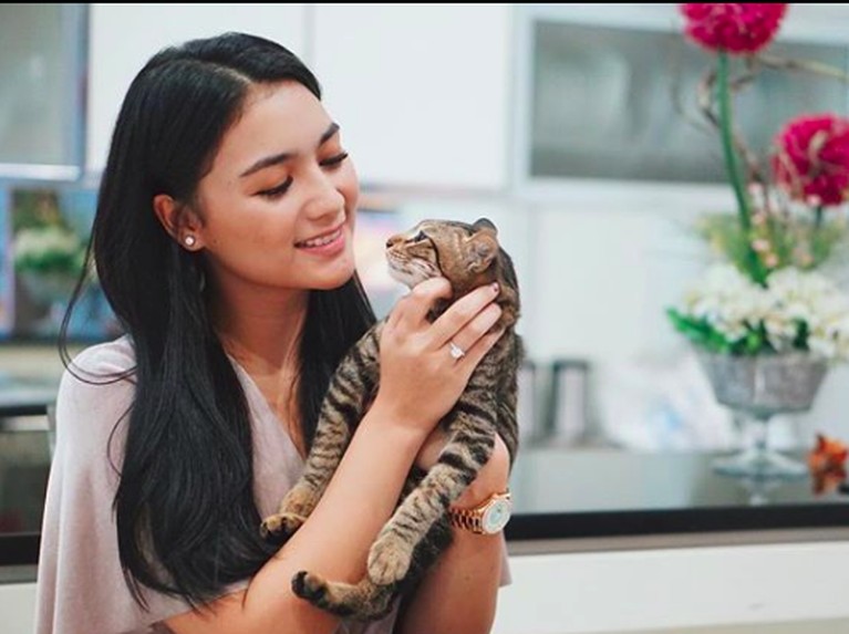 Foto Menggemaskan 6 Artis Terkenal dengan Kucing Kesayangan Deretan seleb ini ternyata seorang penyayang binatang, terutama kucing. Mau tahu siapa saja? Yuk, intip!
