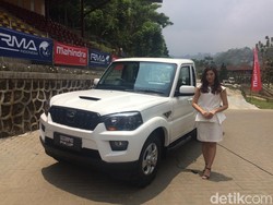 Begini Ngerinya Imbas Impor Mobil Pick Up 105 Ribu Unit Senilai Rp 24 T