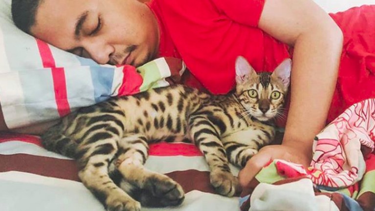 Foto Menggemaskan 6 Artis Terkenal dengan Kucing Kesayangan Deretan seleb ini ternyata seorang penyayang binatang, terutama kucing. Mau tahu siapa saja? Yuk, intip!