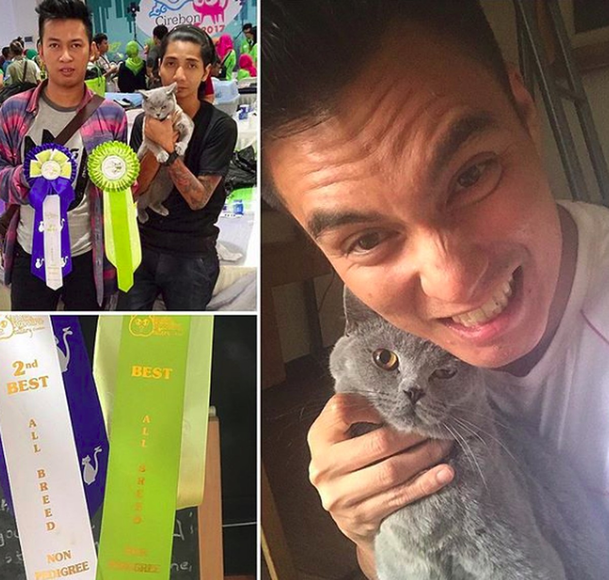 Deretan seleb ini ternyata seorang penyayang binatang&comma; terutama kucing&period; Mau tahu siapa saja&quest; Yuk&comma; intip&excl;