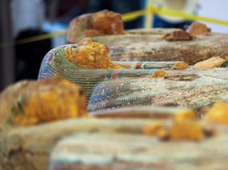 5 Makanan Ini Jadi Bekal Para Mumi di Kehidupan Selanjutnya