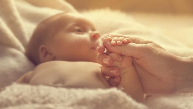 950743988 Newborn Baby Holding Mother Hand, New Born Child and Parent, Selective Focus on Family Hands, Kid and Woman