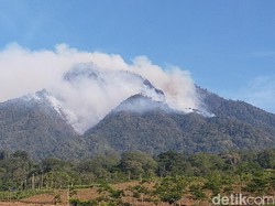 300 Hektare Lahan di Jatim Terbakar Selama Januari-Agustus 2020