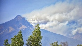 Hutan Terbakar, Pendakian Gunung Rinjani Ditutup