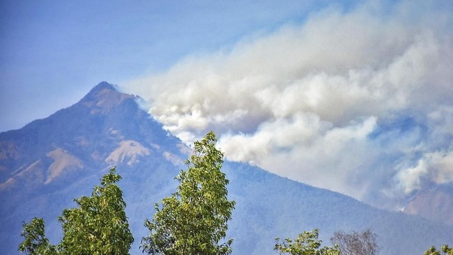 Kebakaran terjadi area rimba Balai Taman Nasional Gunung (BTNG) Rinjani, Nusa Tenggara Barat sejak Rabu lampau (13/11) kemarin.