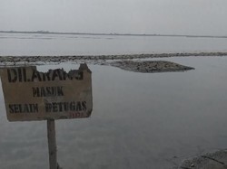 Tersangkut Kasus Lapindo yang 17 Tahun Nggak Kelar, Segini Harta Keluarga Bakrie