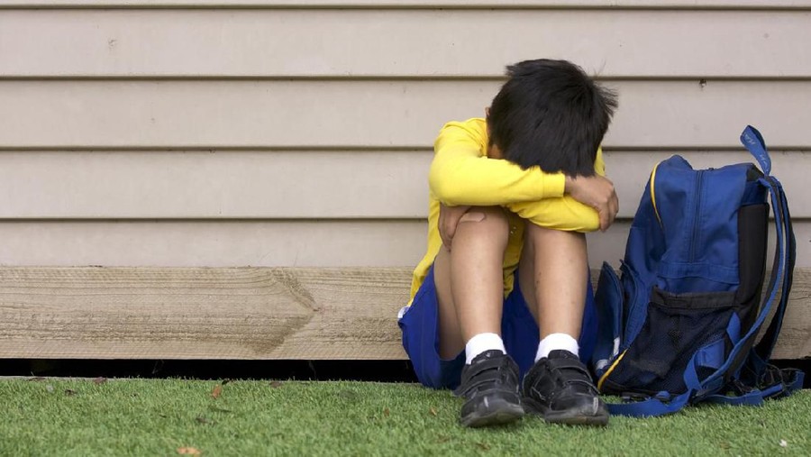 185239711 Boy bullied