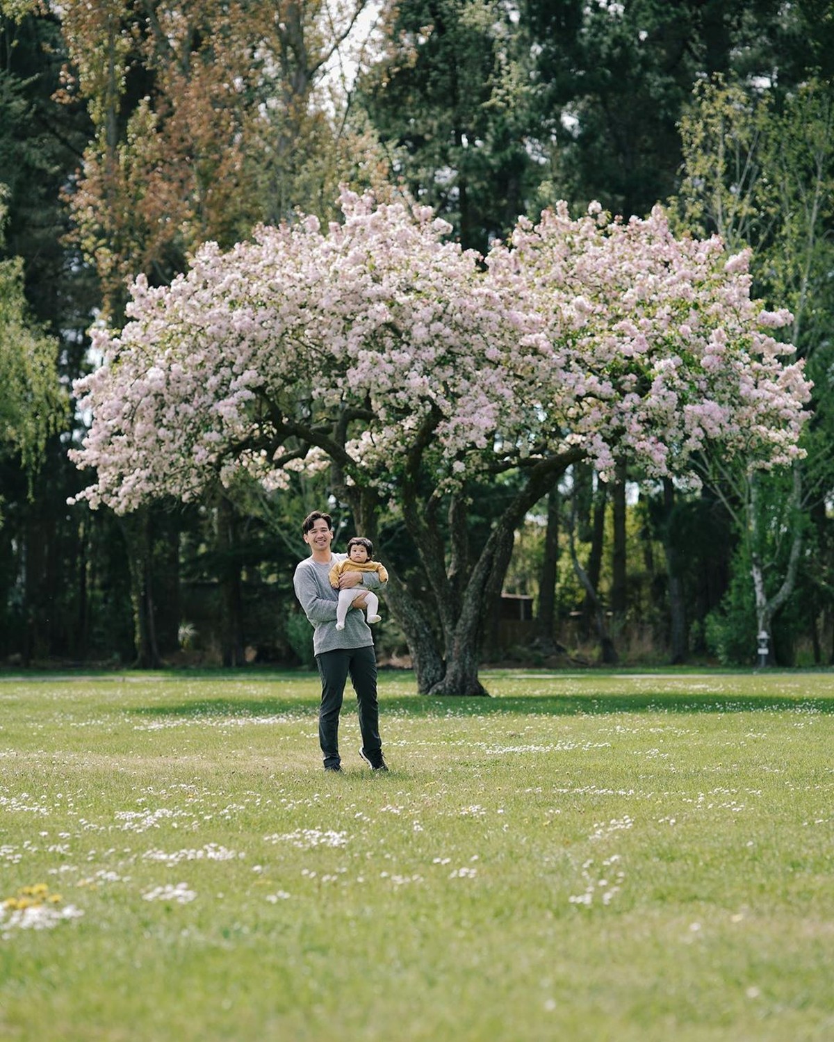 Intip keseruan Tarra Budiman dengan keluarga kecilnya saat menikmati pemandangan di Selandia Baru menggunakan mobil Campervan&period;