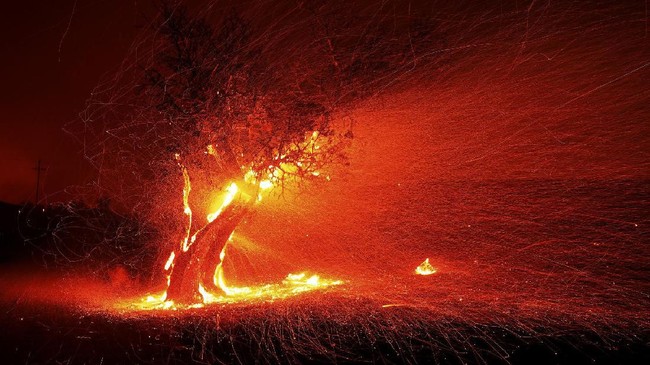FOTO: California Padamkan Listrik di Tengah Kebakaran Lahan