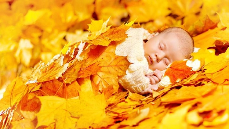 NB Autumn Baby Sleeping, Newborn Kid in Fall Yellow Leaves, Asleep New Born Child