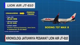 VIDEO: Kronologi Jatuhnya Pesawat Lion Air JT-610