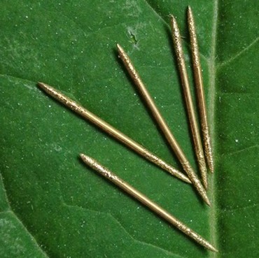 Geger, Pasutri Ribut Usai Lihat Ada Susuk di Foto Hasil Rontgen Gigi