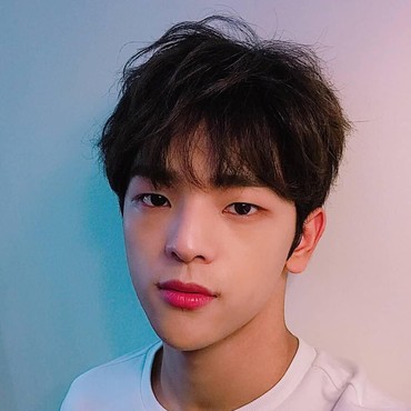 Woojin Hengkang, Album Baru Stray Kids Ditunda
