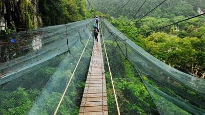 Empat taman nasional di Indonesia telah masuk daftar ini, yakni; TN Gunung Leuser, TN Kerinci, TN Lorentz, dan TN Way Kambas.