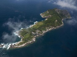 Ribuan Ular Berbisa Ada di Pulau Ini