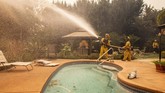 FOTO : Kebakaran Hutan Ancam Wilayah Elite California Kebakaran hutan dan lahan di California terus meluas. Api terus bergerak akibat angin kencang ke pemukiman elite dekat Los Angeles.