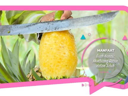Manfaat Buah Nanas; Membuang Racun dalam Tubuh