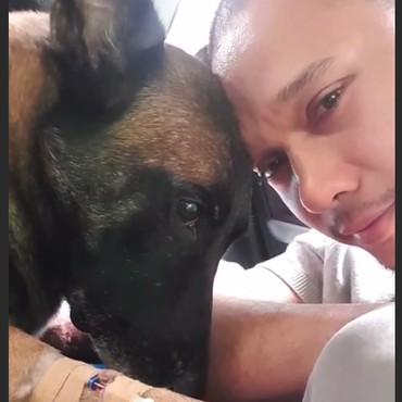 Sedihnya Bima Aryo Lihat Anjing Kesayangan Mati di Pelukan