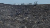 FOTO : Kebakaran Hutan Ancam Wilayah Elite California Kebakaran hutan dan lahan di California terus meluas. Api terus bergerak akibat angin kencang ke pemukiman elite dekat Los Angeles.