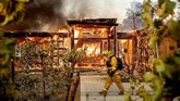 FOTO : Kebakaran Hutan Ancam Wilayah Elite California Kebakaran hutan dan lahan di California terus meluas. Api terus bergerak akibat angin kencang ke pemukiman elite dekat Los Angeles.