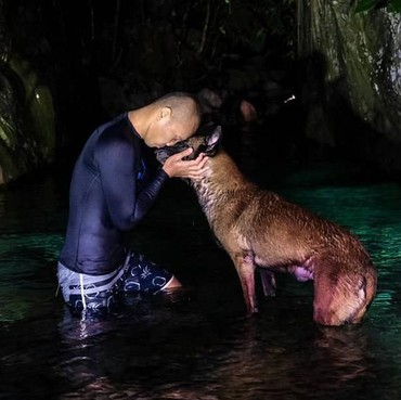 Tangisan Bima Aryo Melepas Kepergian Anjing Kesayangan