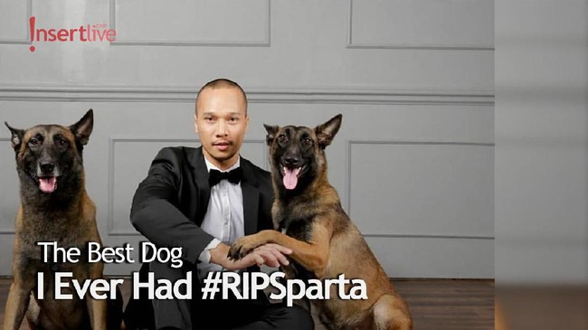 Sparta, Anjing Milik Bimo Arya yang Sempat Viral, Mati Karena Sakit