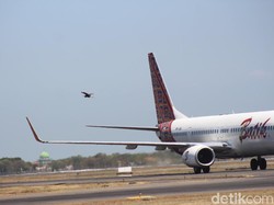 Mengenal Bird Strike yang Diduga Penyebab Kecelakaan Jeju Air