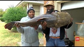 VIDEO: Pemancing di Oklahoma Tangkap Lele Seberat 27,2 Kg