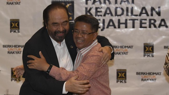 Bak duri dalam daging, safari politik NasDem ke sejumlah pihak oposisi dianggap sebagai bentuk kekecewaan terhadap Jokowi sekaligus persiapan Pilpres 2024.