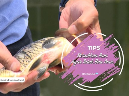 Tips Bersihkan Ikan Agar Tidak Bau Amis