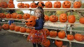FOTO: Gemerlap Pekan Halloween di Penjuru Dunia Halloween memang telah berlalu, namun keriaannya di penjuru dunia masih terasa hingga akhir pekan kemarin.