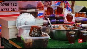 VIDEO: Festival Madu Peternak Lebah Kurdi