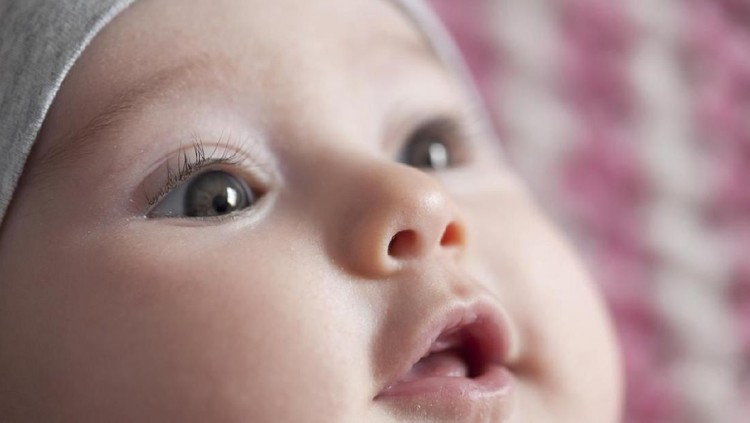 Fleda Jan Ethes kembali jadi sorotan karena dia sudah jadi kakak. Nah, nama Jan Ethes bisa jadi inspirasi nama bayi buat si kecil.