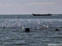 Anggota DPR Ungkap 8 Warga Nunukan Ditahan Malaysia, Minta Segera Dipulangkan