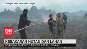 VIDEO: Upaya Pemadaman Karhutla Palangkaraya