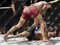 UFC Tak Akan Gelar Pertandingan Anak-anak