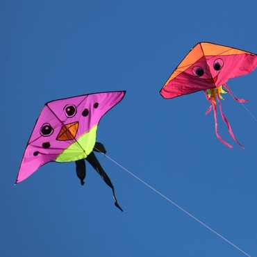 5 Fakta Kisah Layangan Putus yang Viral