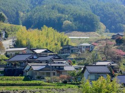 Pemerintah Jepang Berikan Rumah-rumah Kosong secara Gratis, Minat Lur?