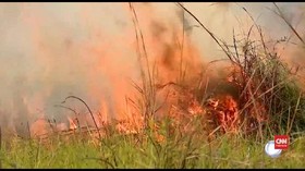 VIDEO: Api Bakar 120 Hektare Hutan Pantanal Brazil