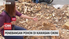 VIDEO: Penebangan Pohon di Kawasan Cikini