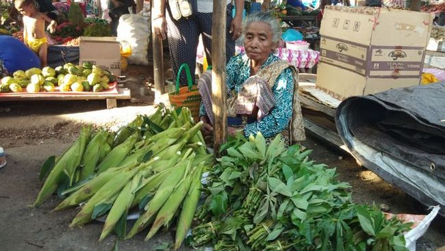 Kisah Sukses  Ibu Penjual  Sayur Didik Anak Hingga Jadi Bupati