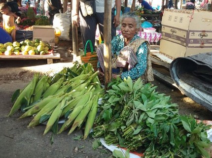 Kisah Sukses Ibu Penjual Sayur Didik Anak Hingga Jadi Bupati