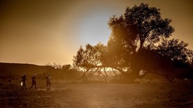 Penyebab Badai Gurun dari Sahara Sampai ke Amerika