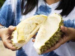 Ini 5 Manfaat Buah Durian Bagi Kesehatan, Khasiatnya Tak Disangka-sangka