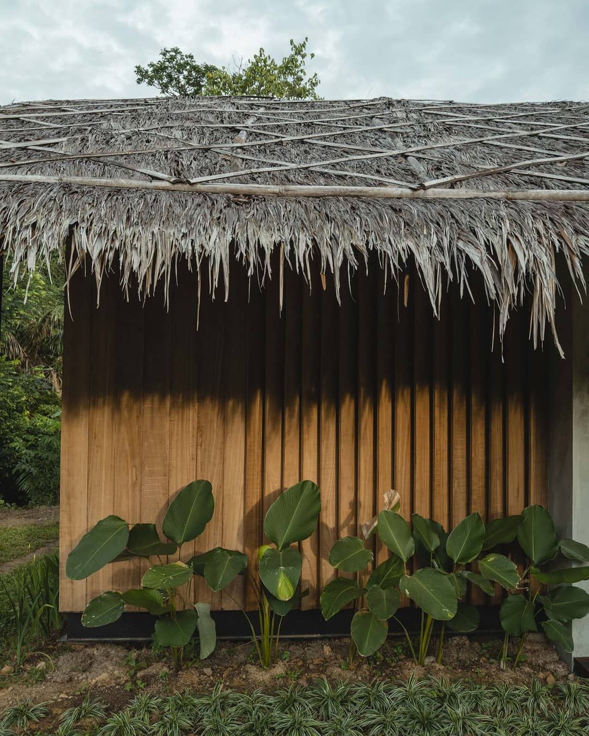 Mengintip penginapan cantik milik Nicholas Saputra di Tangkahan&comma; Sumatera Utara&period;