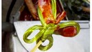 Masih Eksis, 7 Jajanan Tempo Dulu Ini Buat Lidah Bergoyang Meski banyak jajanan hits yang bermunculan dewasa ini. 7 jajanan tahun 90-an ini masih setia dipilih netizen untuk memuaskan hasrat kulinernya, apa saja?