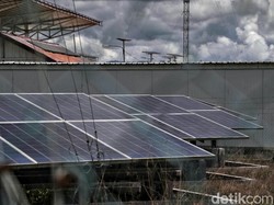 Harga Panel Surya di RI Lebih Mahal Dibanding China