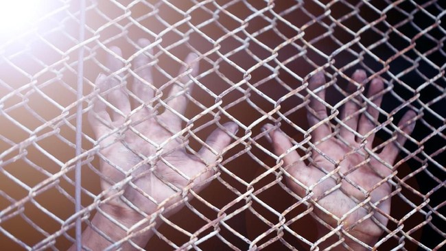 Sebanyak 20 WNI yang disekap di Myanmar kerap mengalami kejadian menyiksa, mulai dari naik kapal dijaga orang bersenjata hingga disetrum kala bekerja.